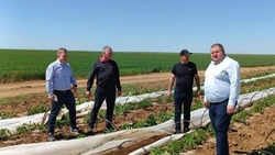 Глава минсельхоза региона встретился с черноярскими фермерами