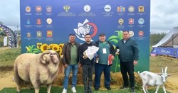 Черноярцы представили элитные породы на выставке племенного скота 
