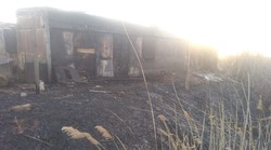 В Черноярском районе от ландшафтного пожара пострадала хозпостройка
