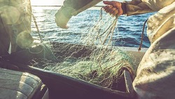 Волгоградца задержали за незаконный вылов рыбы в Черноярском районе