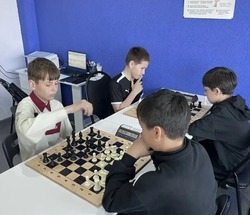 Черноярцы стали призёрами турнира «Шахматное поле»