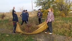 Администрация Черноярского сельсовета напоминает сельчанам об уборке 