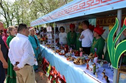 Черноярцы побывали на фестивале тюльпанов в Калмыкии