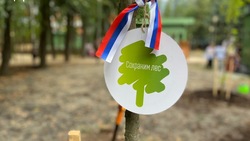Астраханцы вновь смогут присоединиться к акции «Сохраним лес»