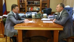 Астраханский губернатор обсудил с зампредом Правительства РФ газификацию региона