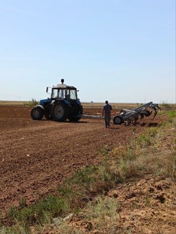 Черноярские аграрии заканчивают убирать урожай зерна
