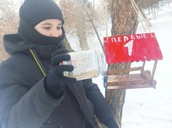 Черноярцы кормят зимующих птиц