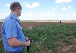 Черноярский предприниматель не справился с борьбой против карантинного растения