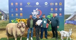 Черноярцы представили элитные породы на выставке племенного скота 