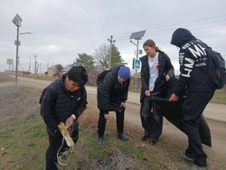 Черноярцы провели акцию «Чистая дорога в школу»