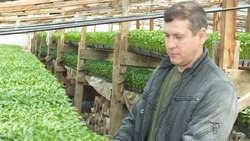 Черноярские фермеры готовы к импортозамещению