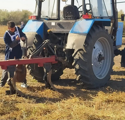 Черноярские аграрии собирают первые урожаи с полей
