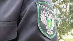 В Черноярском районе выявили неиспользуемые сельхозугодья