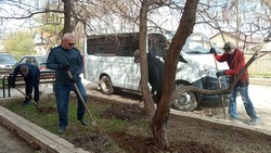 В Черноярском районе продолжается месячник чистоты
